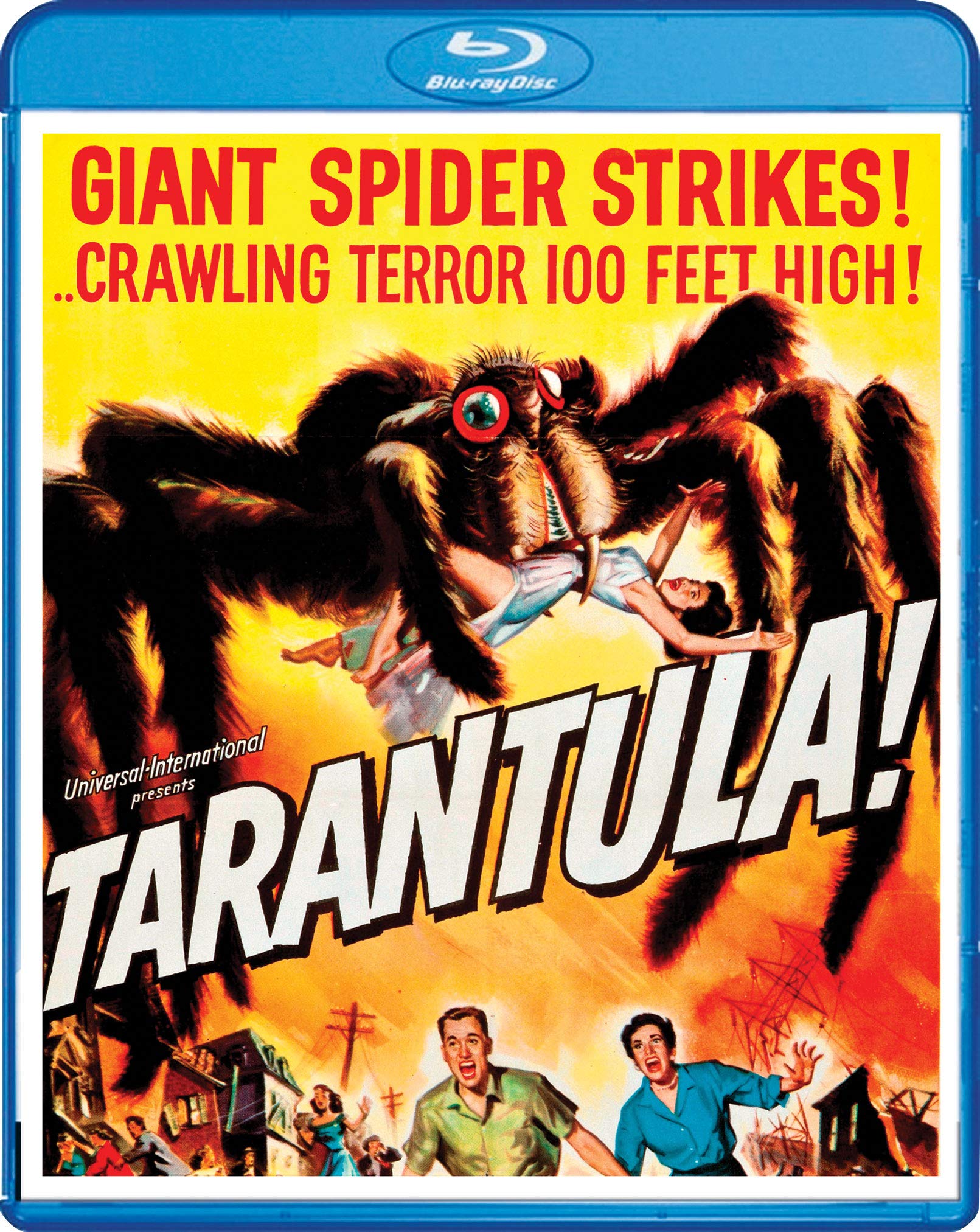 洋楽 Tarantula Poecilotheria metallica - Wikipedia